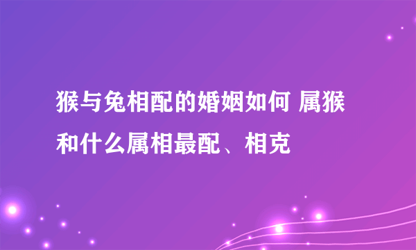 猴与兔相配的婚姻如何 属猴和什么属相最配、相克