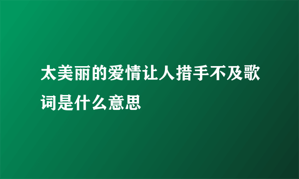 太美丽的爱情让人措手不及歌词是什么意思