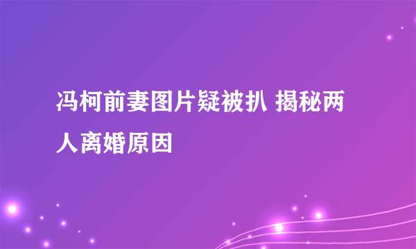 冯柯前妻图片疑被扒 揭秘两人离婚原因