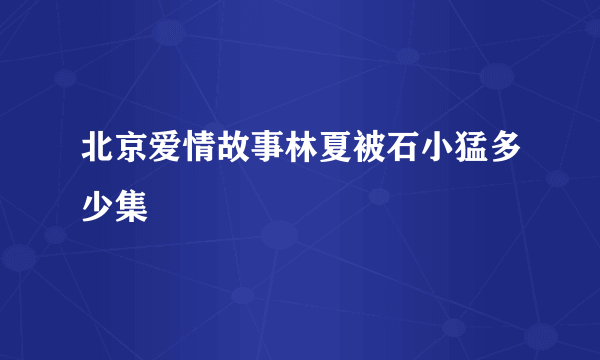 北京爱情故事林夏被石小猛多少集