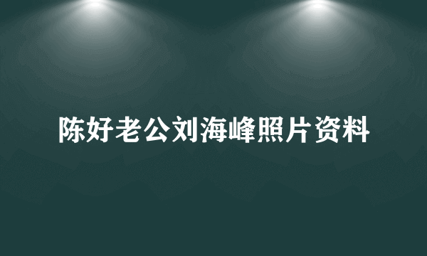 陈好老公刘海峰照片资料