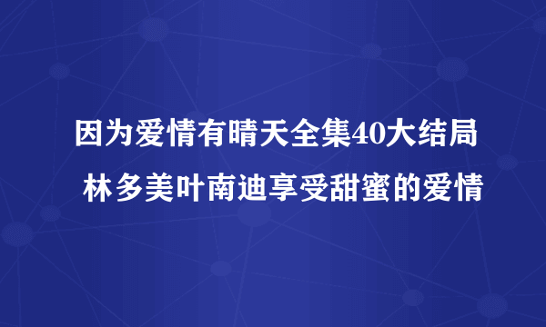 因为爱情有晴天全集40大结局 林多美叶南迪享受甜蜜的爱情