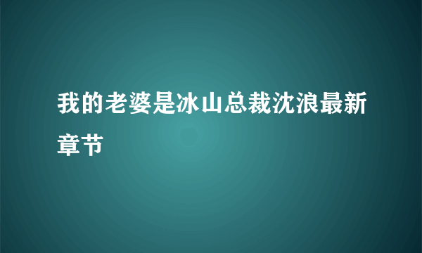 我的老婆是冰山总裁沈浪最新章节