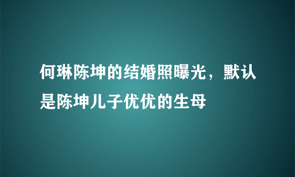 何琳陈坤的结婚照曝光，默认是陈坤儿子优优的生母 