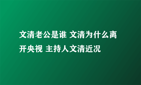 文清老公是谁 文清为什么离开央视 主持人文清近况