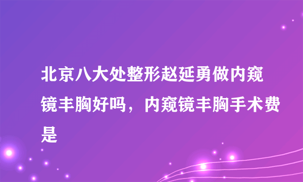 北京八大处整形赵延勇做内窥镜丰胸好吗，内窥镜丰胸手术费是