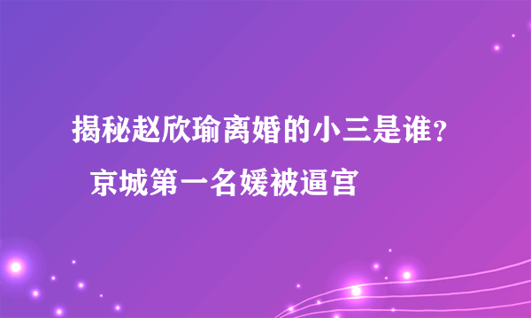 揭秘赵欣瑜离婚的小三是谁？  京城第一名媛被逼宫