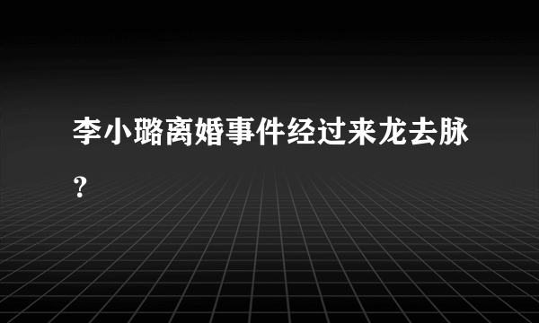 李小璐离婚事件经过来龙去脉？