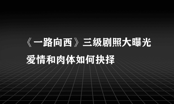 《一路向西》三级剧照大曝光 爱情和肉体如何抉择