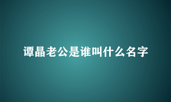 谭晶老公是谁叫什么名字