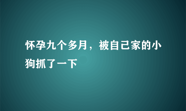 怀孕九个多月，被自己家的小狗抓了一下