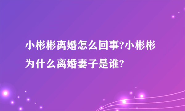 小彬彬离婚怎么回事?小彬彬为什么离婚妻子是谁?