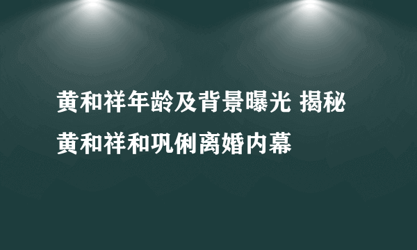 黄和祥年龄及背景曝光 揭秘黄和祥和巩俐离婚内幕