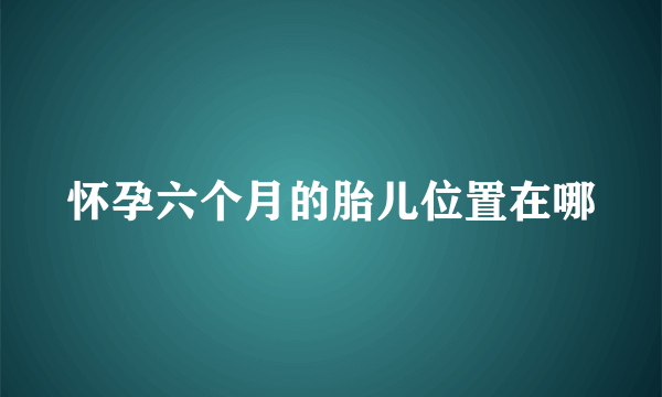 怀孕六个月的胎儿位置在哪