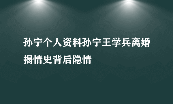 孙宁个人资料孙宁王学兵离婚揭情史背后隐情