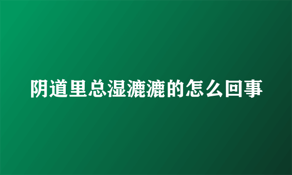 阴道里总湿漉漉的怎么回事