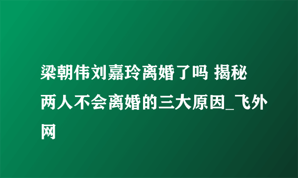 梁朝伟刘嘉玲离婚了吗 揭秘两人不会离婚的三大原因_飞外网