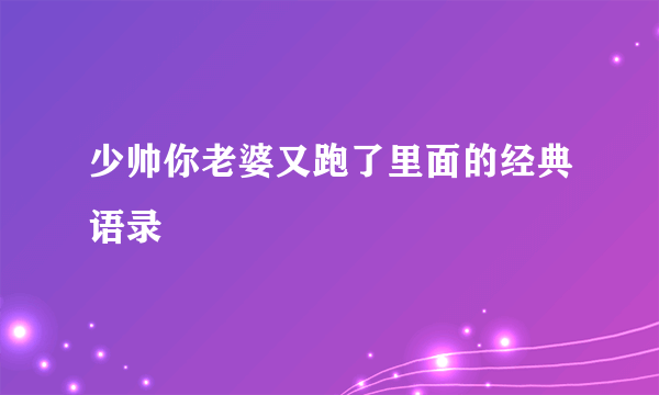 少帅你老婆又跑了里面的经典语录