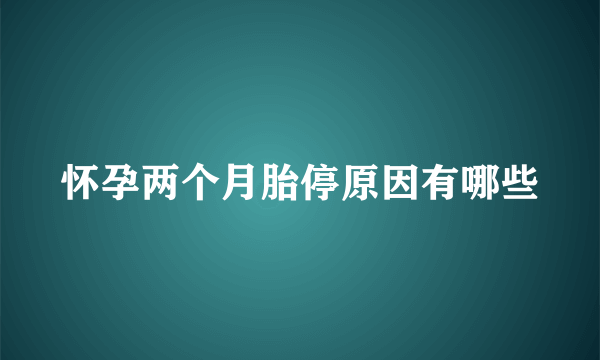 怀孕两个月胎停原因有哪些