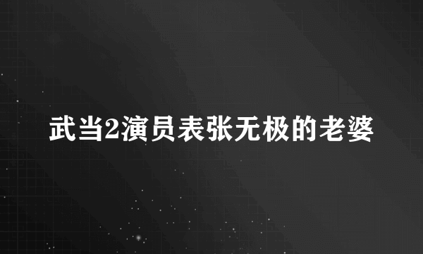 武当2演员表张无极的老婆