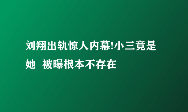 刘翔出轨惊人内幕!小三竟是她  被曝根本不存在