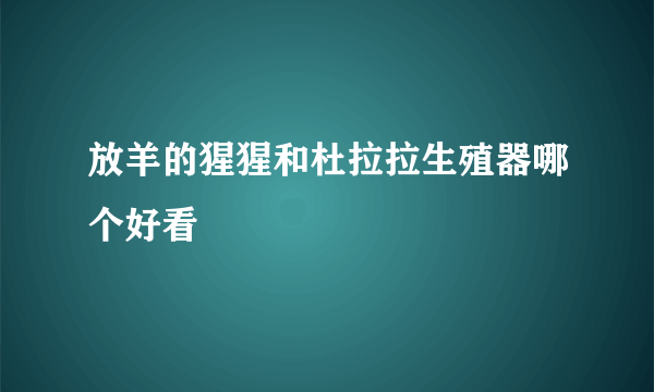 放羊的猩猩和杜拉拉生殖器哪个好看