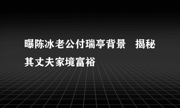 曝陈冰老公付瑞亭背景   揭秘其丈夫家境富裕