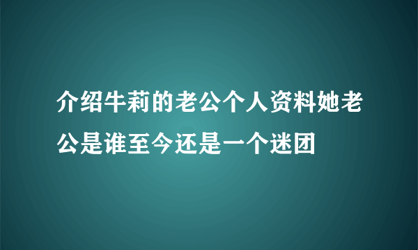 介绍牛莉的老公个人资料她老公是谁至今还是一个迷团