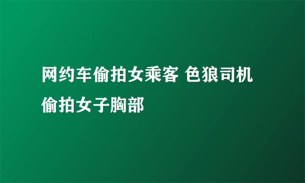 网约车偷拍女乘客 色狼司机偷拍女子胸部