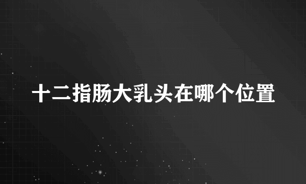 十二指肠大乳头在哪个位置