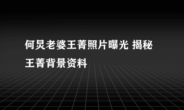 何炅老婆王菁照片曝光 揭秘王菁背景资料