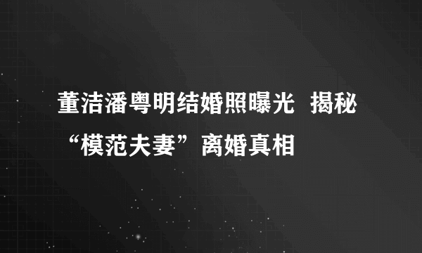 董洁潘粤明结婚照曝光  揭秘“模范夫妻”离婚真相