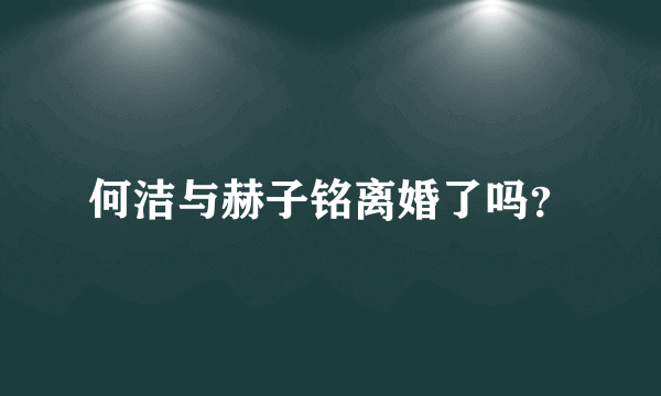 何洁与赫子铭离婚了吗？