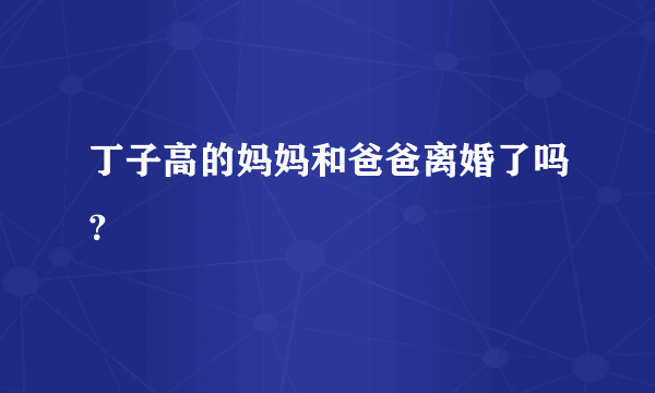 丁子高的妈妈和爸爸离婚了吗？