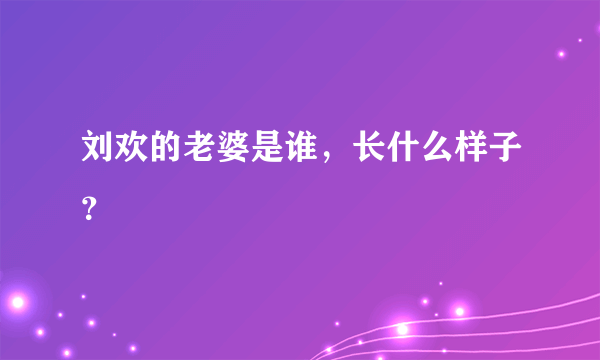 刘欢的老婆是谁，长什么样子？