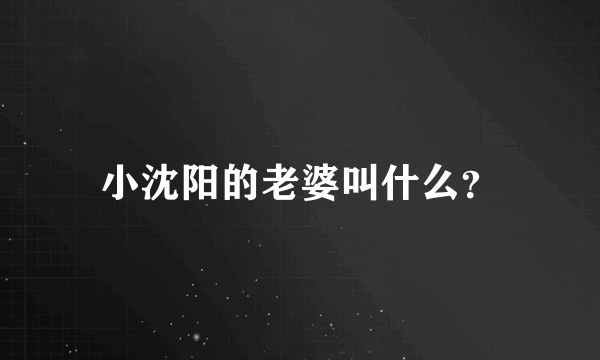 小沈阳的老婆叫什么？