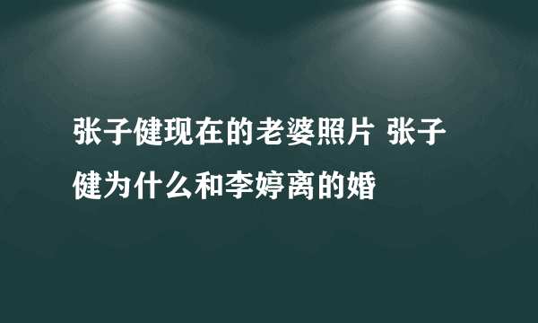 张子健现在的老婆照片 张子健为什么和李婷离的婚