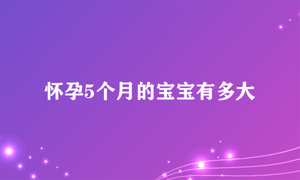 怀孕5个月的宝宝有多大