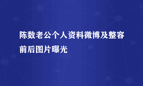 陈数老公个人资料微博及整容前后图片曝光