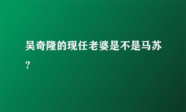 吴奇隆的现任老婆是不是马苏？