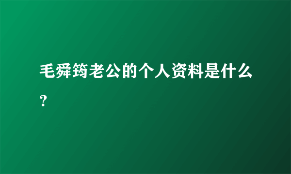 毛舜筠老公的个人资料是什么？