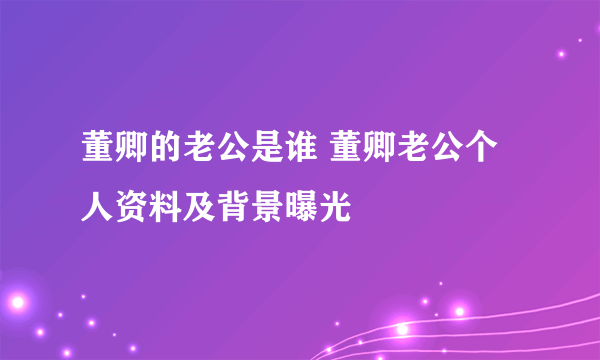 董卿的老公是谁 董卿老公个人资料及背景曝光