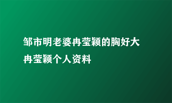 邹市明老婆冉莹颖的胸好大 冉莹颖个人资料