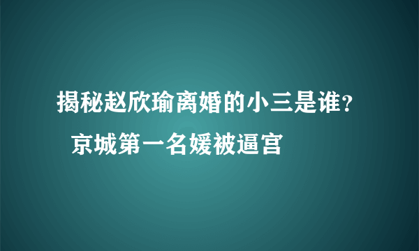 揭秘赵欣瑜离婚的小三是谁？  京城第一名媛被逼宫