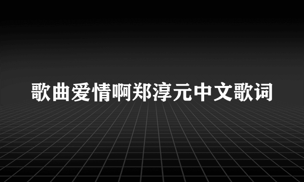 歌曲爱情啊郑淳元中文歌词