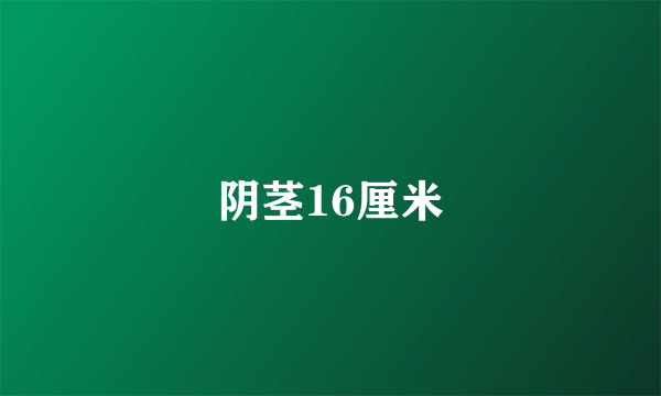 阴茎16厘米