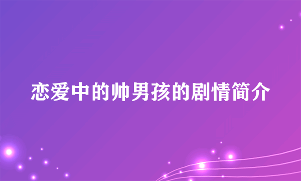 恋爱中的帅男孩的剧情简介