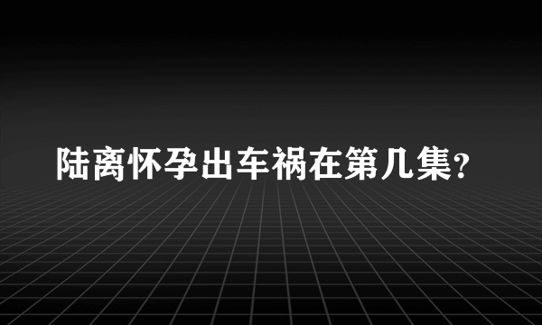 陆离怀孕出车祸在第几集？