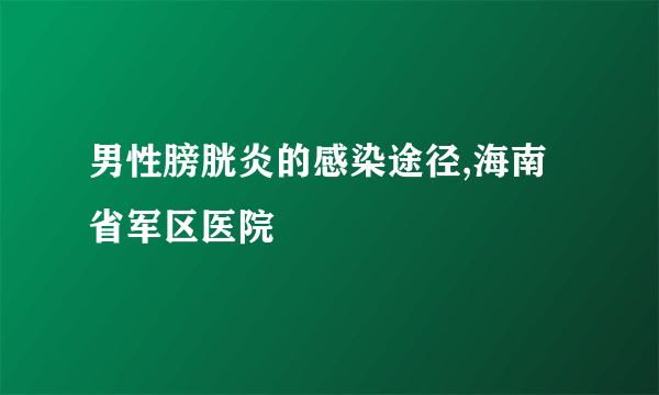 男性膀胱炎的感染途径,海南省军区医院