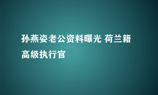 孙燕姿老公资料曝光 荷兰籍高级执行官